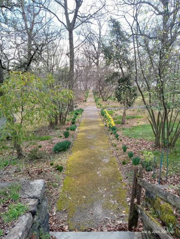 Bartram's Garden