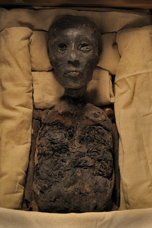 King Tutankhamen 