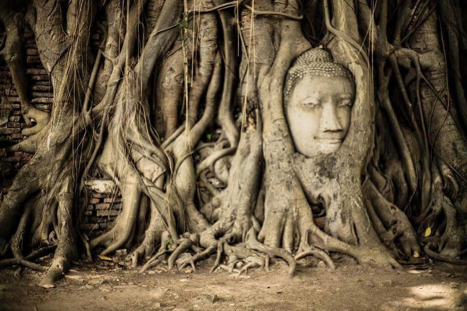UNESCO Ayutthaya Historical Park
