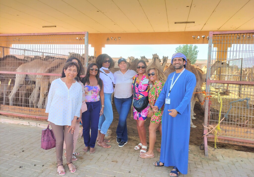 Camel Market