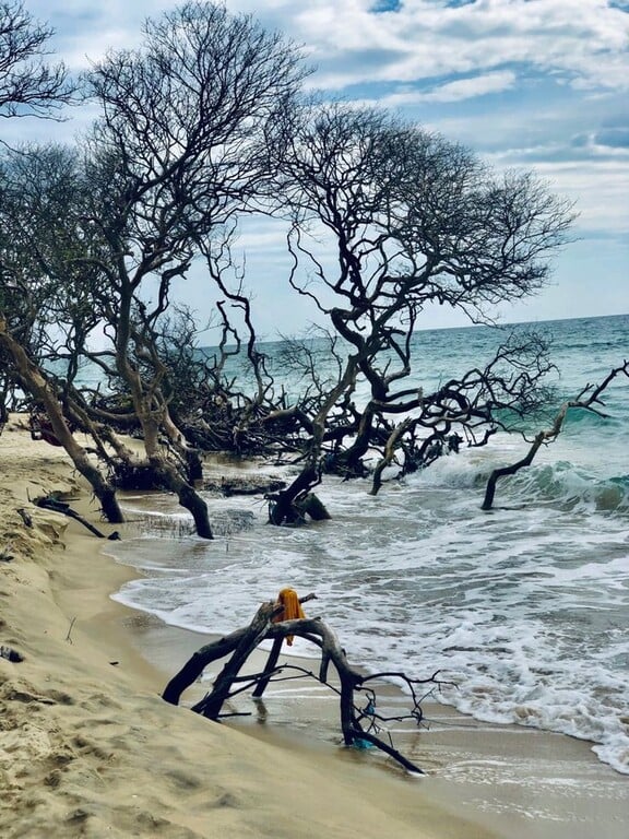 Sandy Beaches