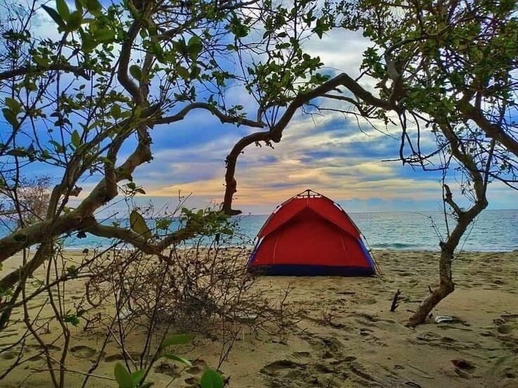Camping