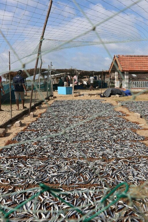Very popular for dried fish