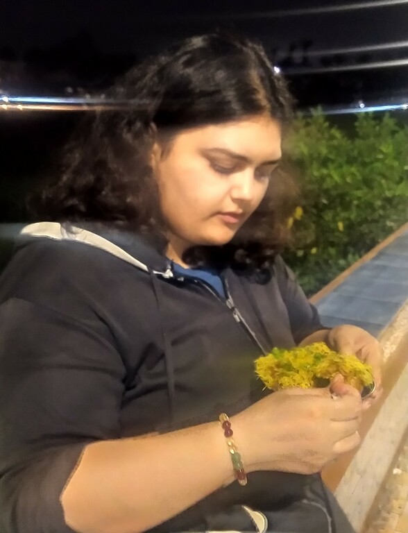 Streetfood in Goa