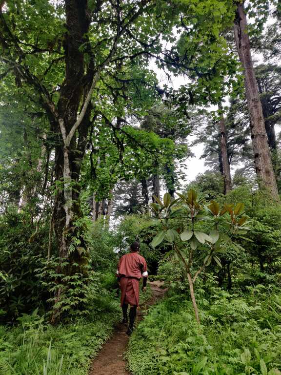 Nature in Bhutan