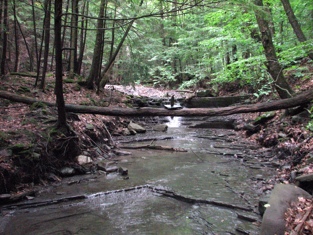 8 Best Things To Do In Gloversville, New York Updated 2020 Trip101