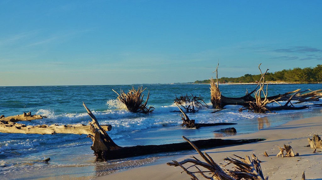 Best Things To Do In Longboat Key, Florida Updated 2020 Trip101