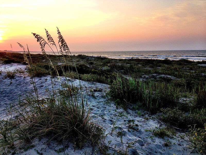 Top 8 Reasons To Visit Kiawah Island, South Carolina Trip101