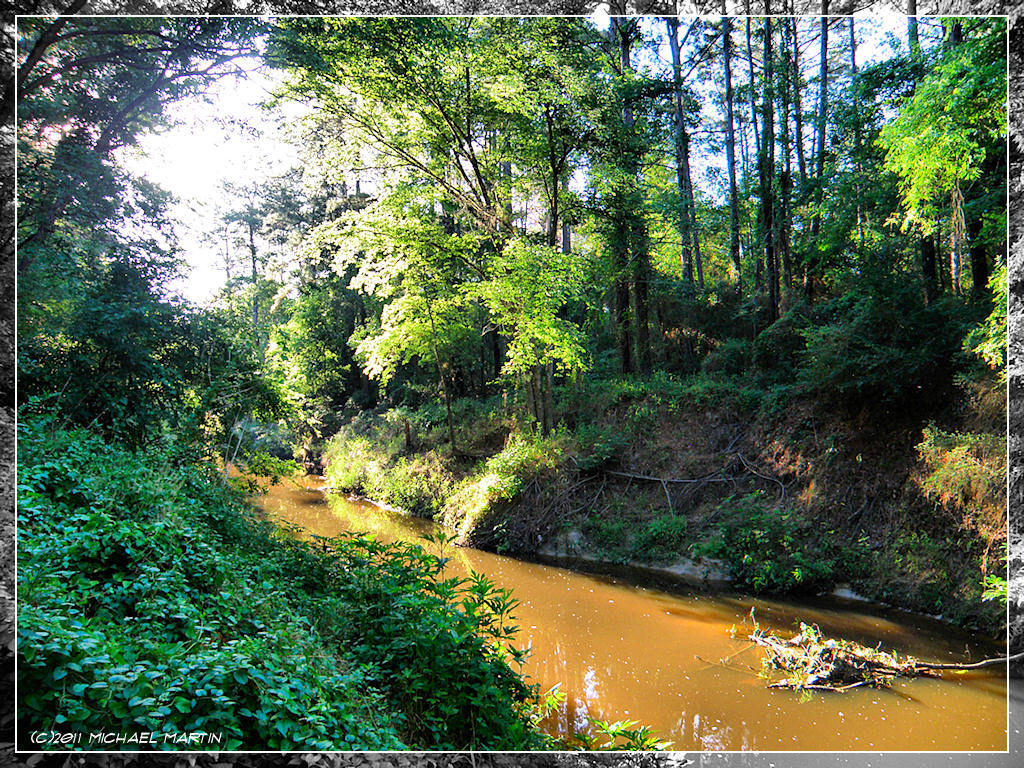 Top 15 Things To Do In Cypress, Texas Trip101