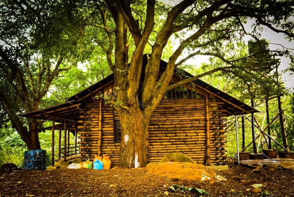 9 Best Homestays In Yelagiri, India Updated 2021 Trip101