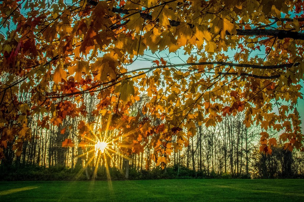 Top 12 Things To Do In Canonsburg, Pennsylvania Updated Trip101