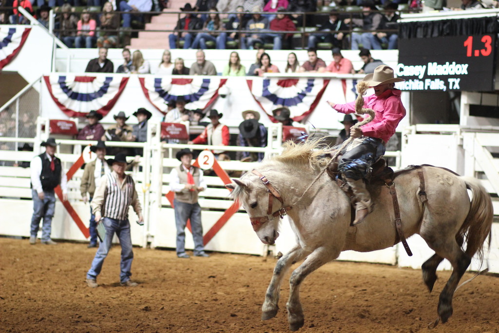 top-10-festivals-in-fort-worth-texas-trip101