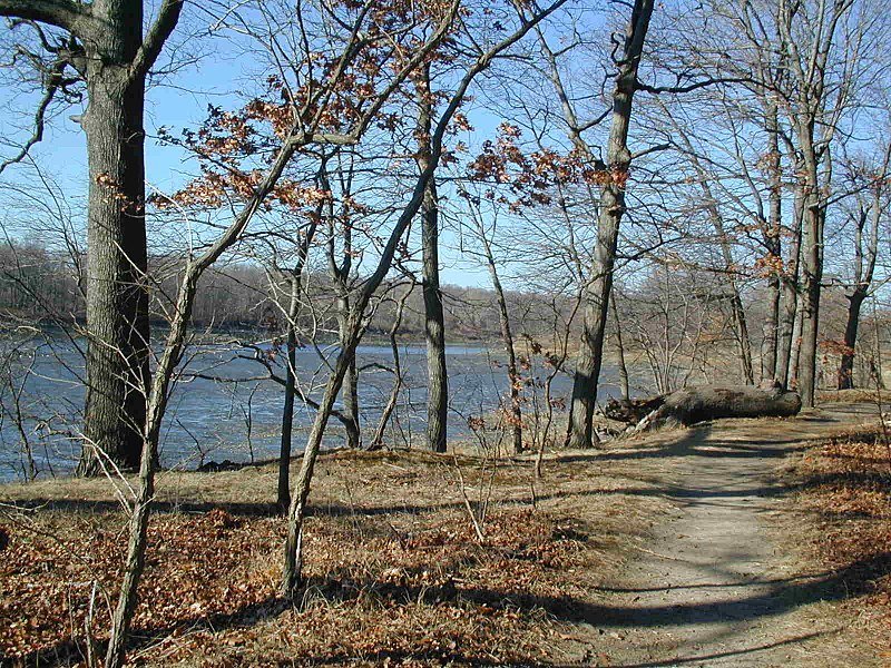 Top 9 Safe Neighborhoods In The Bronx, New York Updated Trip101