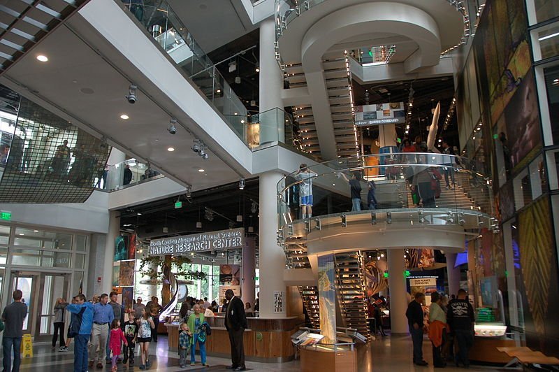 Top 10 Children's Museums In Raleigh, North Carolina Trip101