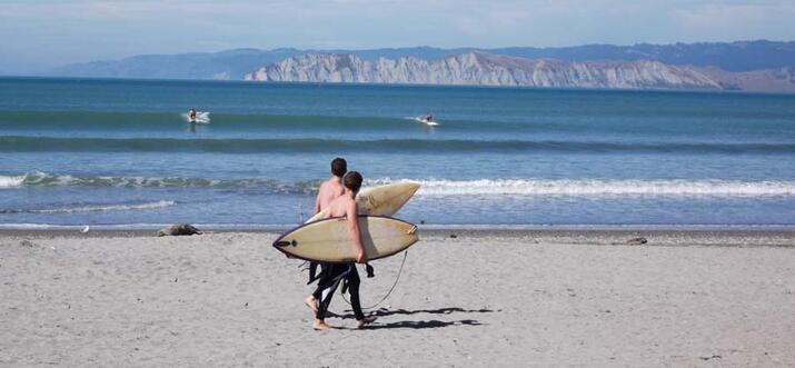things to do in waikanae nz