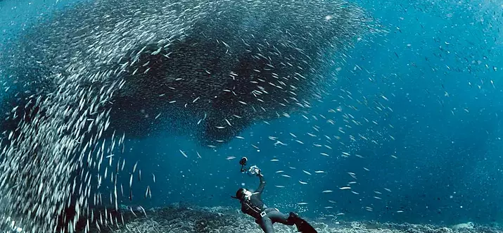 12 Best Things To Do In Moalboal, Philippines