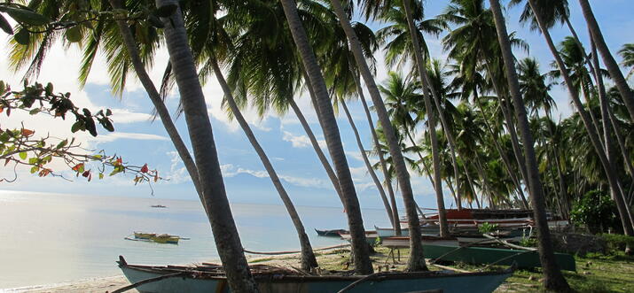 things to do in siquijor philippines