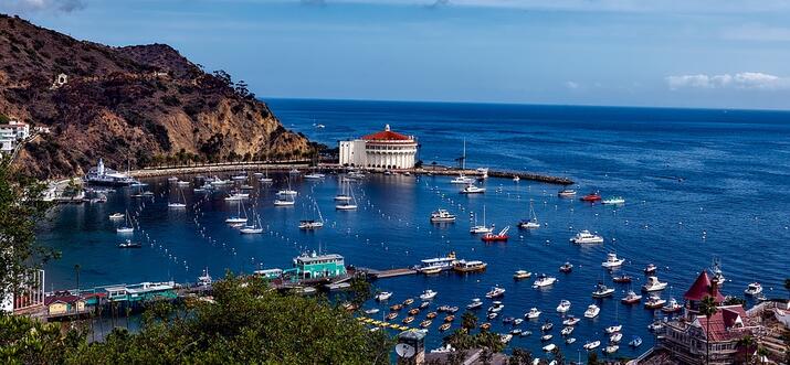 things to do in avalon california