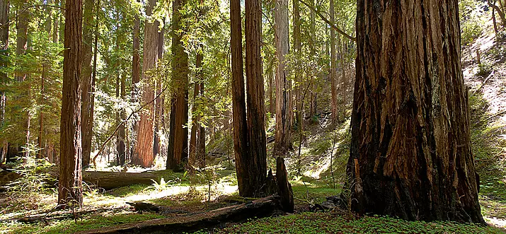 10 Best Things To Do In Ukiah, California