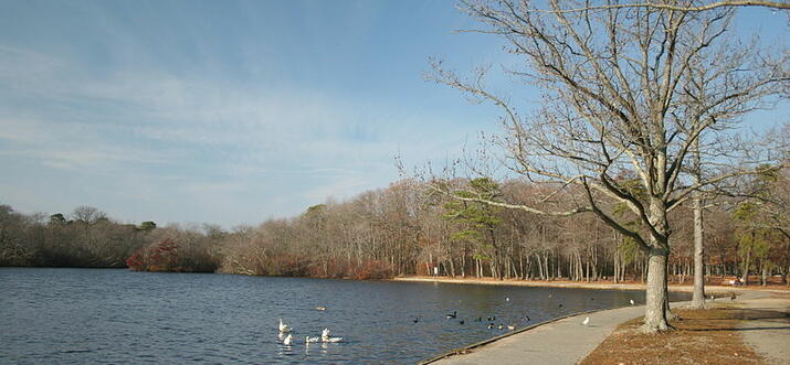 things to do in deer park new york