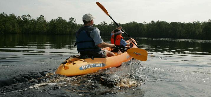 things to do in crystal river florida