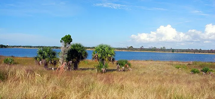 Top 18 Things To Do In Spring Hill, Florida
