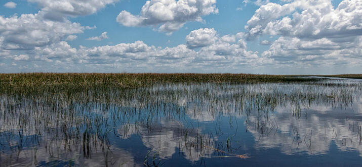 things to do in weston florida
