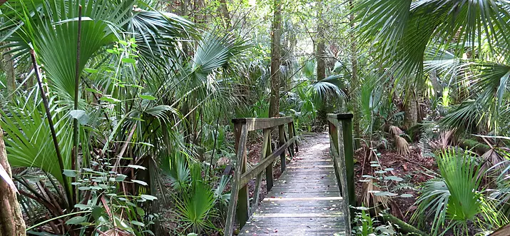 15 Best Things To Do In Oviedo, Florida