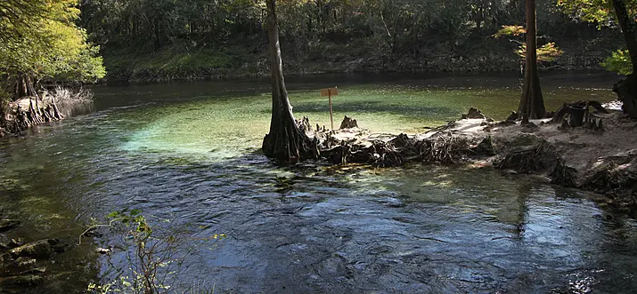 15 Best Things To Do In Brooksville, Florida