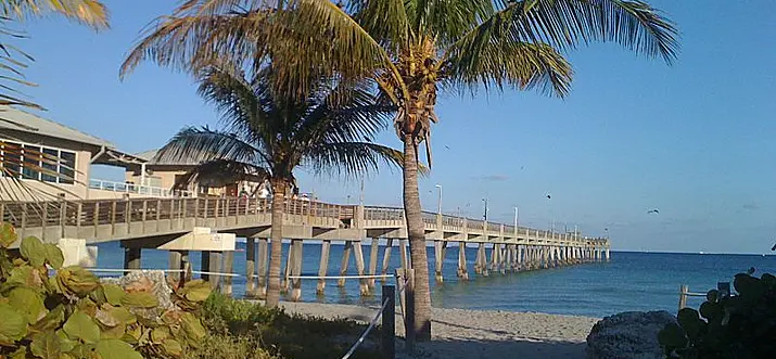 15 Best Things To Do In Dania Beach, Florida