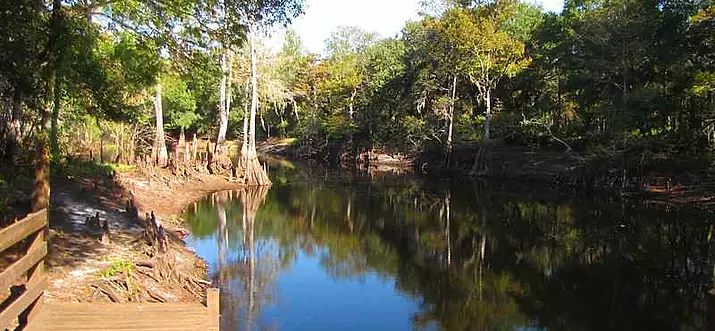 14 Best Things To Do In Dade City, Florida