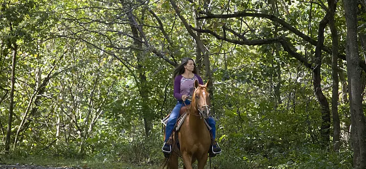 10 Best Things To Do In Pekin, Illinois