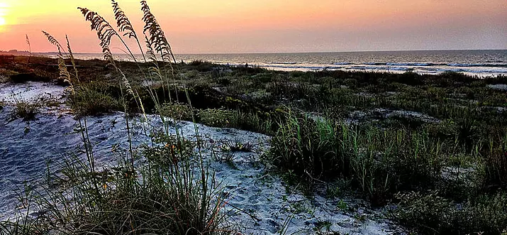 Top 8 Reasons To Visit Kiawah Island, South Carolina