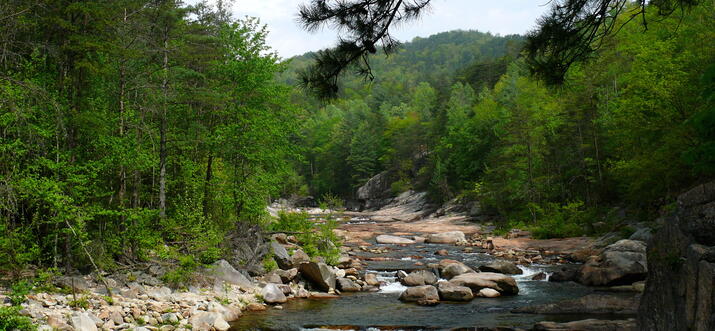 things to do in wilson north carolina