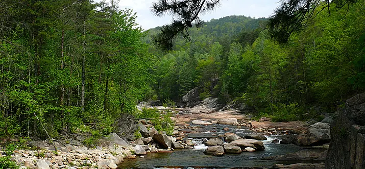 16 Best Things To Do In Wilson, NC