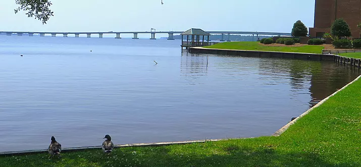 8 Best Things To Do In Havelock, North Carolina
