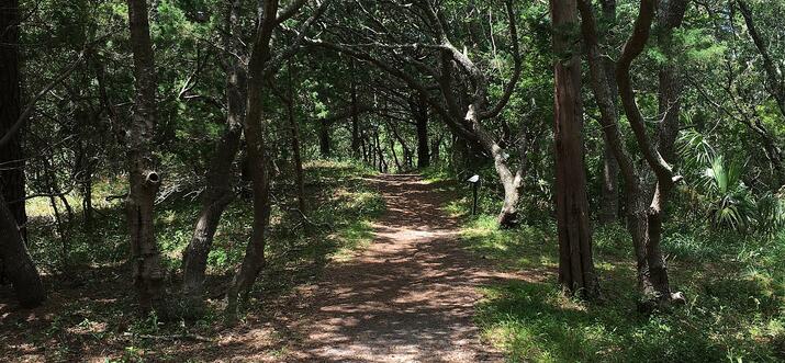things to do in buxton north carolina
