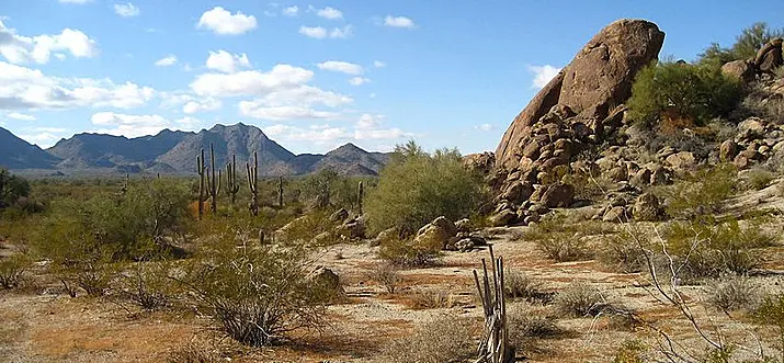 14 Best Things To Do In Tolleson, Arizona