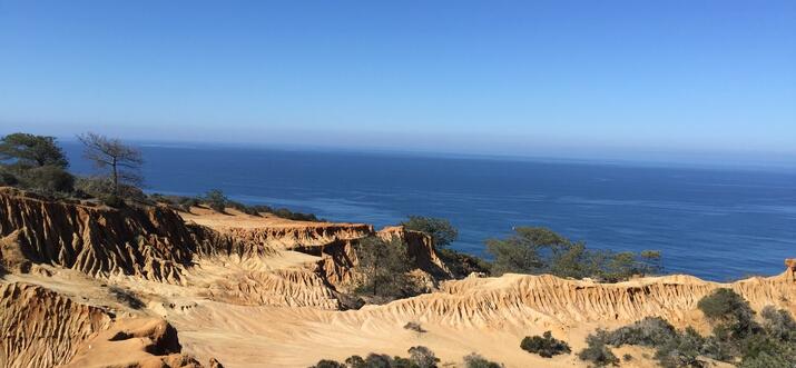 Torrey Pines: Your One Stop Shop To Hike, Dine, Play & Stay