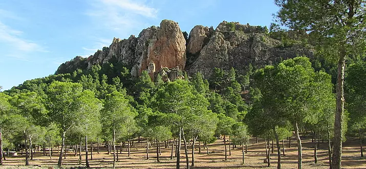 Journey Through Europe's Orchard: 9 Things To Do In Murcia, Spain