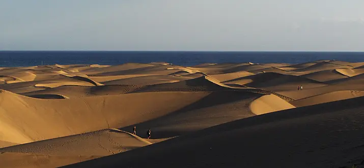Of Palm Trees And Sand Dunes: Top 9 Things To Do In Maspalomas, Spain