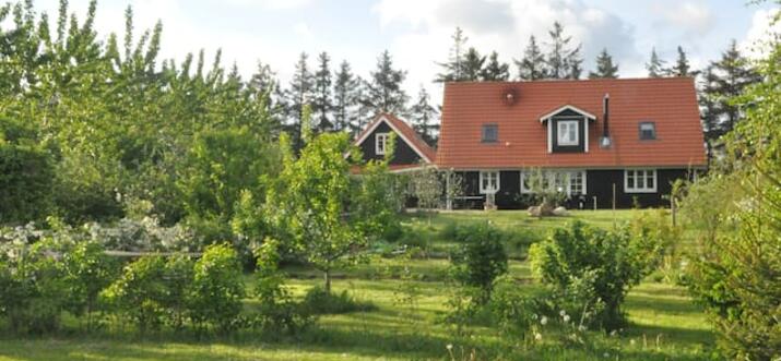 airbnb Ribe