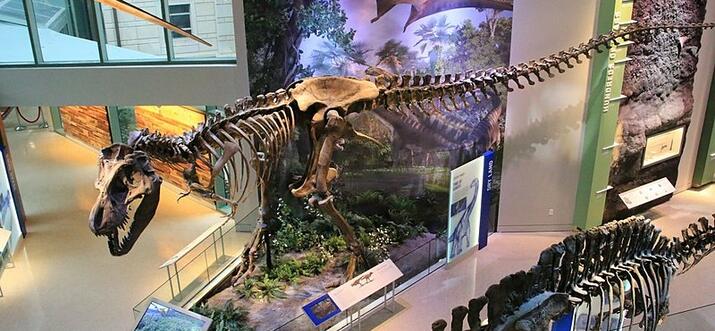 13 Things To Do Indoors In San Antonio Updated 2023 Trip101