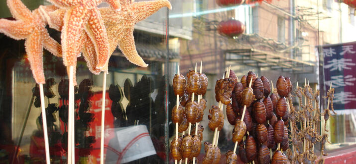 food to try around the world