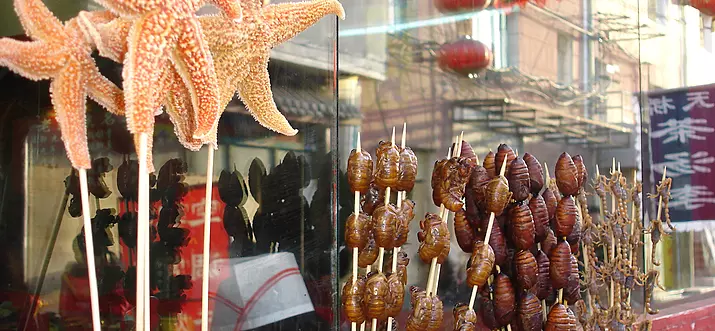 Freaky Friday: 5 Of The Most Macabre Delicacies Around The World