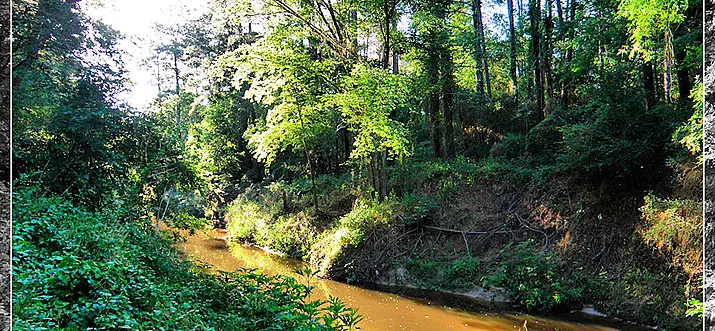 Top 15 Things To Do In Cypress, Texas