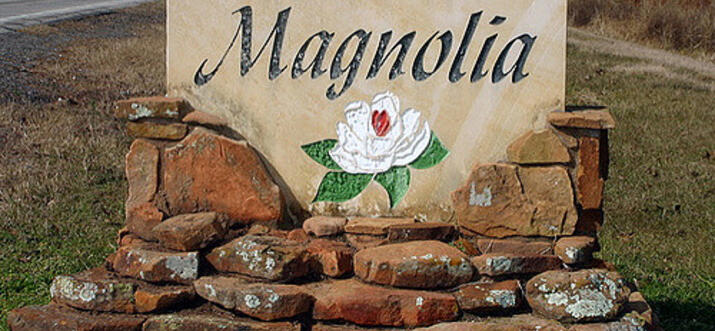 things to do in magnolia texas