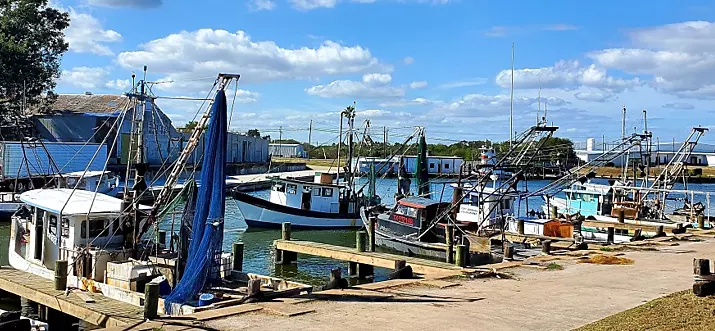 Top 16 Things To Do In Port Lavaca, Texas