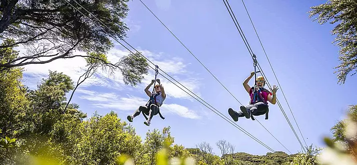 12 Things To Do Alone In Auckland, New Zealand