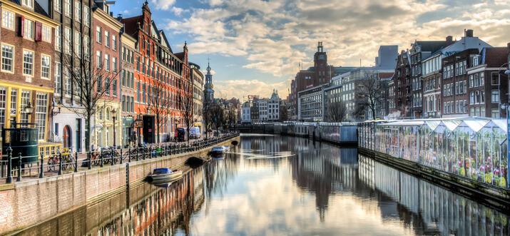 Airbnb Experiences In Amsterdam
